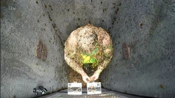 Anne Hegerty in I'm a Celebrity, Get Me Out of Here! (2002)