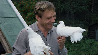 Aleksandr Mikhaylov in Love and Doves (1985)