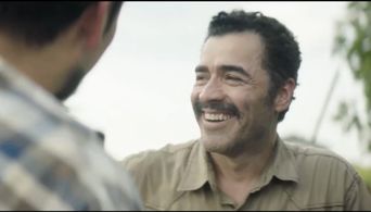 ANYTHING THAT MOVES STILL