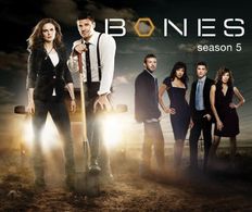 David Boreanaz, Michaela Conlin, John Francis Daley, Emily Deschanel, Tamara Taylor, and T.J. Thyne in Bones (2005)