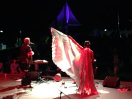 Reena Shah performing with Todd Michaelsen - My Pet Dragon at The Levitt Pavilion for the Performing Arts in Westport, C