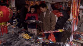 Changhua Zhang in Last Train Home (2009)