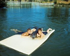 Luke Halpin, Tommy Norden, and Flipper in Flipper (1964)