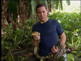 Jeff Corwin in The Jeff Corwin Experience (2001)
