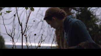 Mia Wasikowska - Madame Bovary