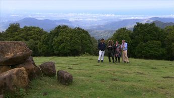 Nick Knowles, Harry Redknapp, Fleur East, and Anne Hegerty in I'm a Celebrity, Get Me Out of Here! (2002)