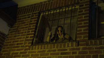 Emily H. Gilson in Silent Sentinel (2017)