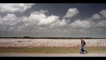 Will Brittain as JAKE in a still from THE DOO DAH MAN, Produced by Suzanne Weinert