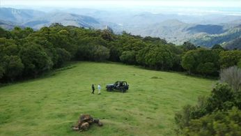 Harry Redknapp, Fleur East, and Anne Hegerty in I'm a Celebrity, Get Me Out of Here! (2002)