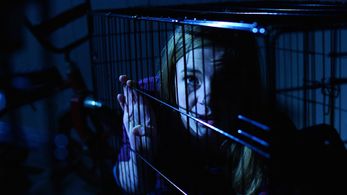 Lee Martin The Midnight Hour