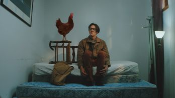 Jarrett Maier in My Wonderful F#cking Life