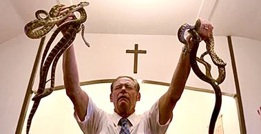 THE CAMPAIGN - “Elder Dan”