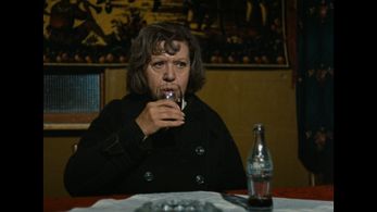 Brigitte Mira in Ali: Fear Eats the Soul (1974)