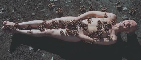 Nicky Nichols in The Holy Mountain (1973)