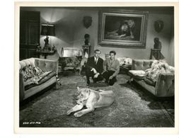Herman Cohen, Ralph Helfer, and Zamba in Black Zoo (1963)