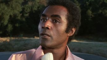 Calvin Lockhart in Uptown Saturday Night (1974)