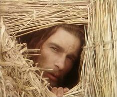 Sergey Makhovikov in Khippiniada abo materik kokhannya (1997)