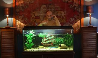 Erkan Avci in Çukur (2016)