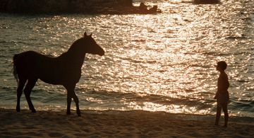 Kelly Reno and Cass-Olé in The Black Stallion (1979)