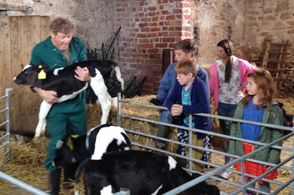 Rockets Island ( television)