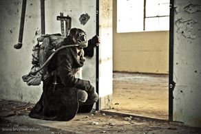 Suzanne Tufan in Population: 2 (2012)