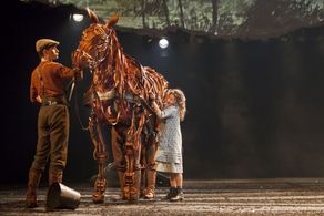 Addison Holley ( War Horse )