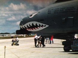 A-10 Warthog (EAA Florida Shoot for Discovery)