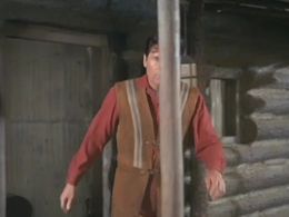 Fess Parker in Daniel Boone (1964)