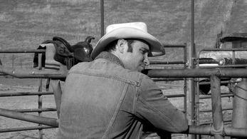 Bryan Kaplan as Luke Higgins in The Divide.