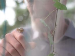 Hans De Munter in Over de Dood (2020)