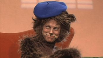 Cool Cat - Out Of The Box on Disney Plus