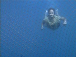 Marzena Godecki in Ocean Girl (1994)