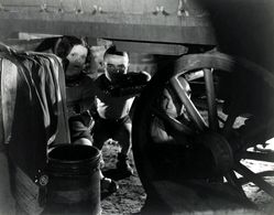 Jerry Austin in Freaks (1932)