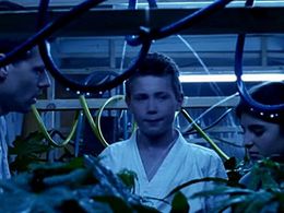 Moritz Jahn and Mira Lieb in The Peppercorns (1999)