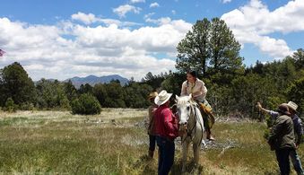 On the set of The Miller Prediction