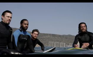 Animal Kingdom Season 3