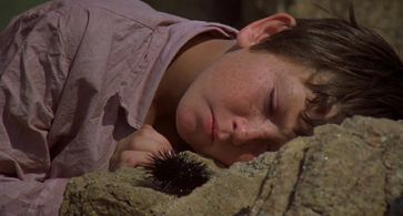 Kelly Reno in The Black Stallion (1979)