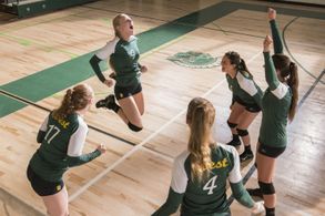 Sean McNamara and Danika Yarosh in The Miracle Season (2018)