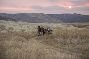 Elina Löwensohn and Dorotheea Petre in The Miracle of Tekir (2015)