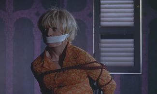 Sophie Hardy in The Trygon Factor (1966)