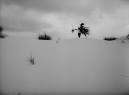 Dmitri Milyutenko in Krynytsya dlya sprahlykh (1965)