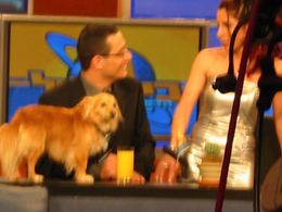 Orna Banai, Erez Tal, and Shuki in Only in Israel (1998)