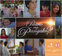 Ricky Davao, Maricel Laxa, John Lapus, Bing Loyzaga, Karel Marquez, Miles Ocampo, Beauty Gonzalez, and Elijah Canlas in 