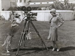 Louise Lorraine at an event for Dog (2022)