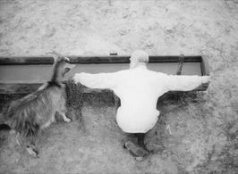 Dmitri Milyutenko in Krynytsya dlya sprahlykh (1965)