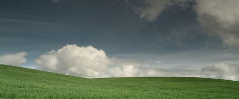 Masataka Ishizaki and Nicolas Toro in Green Grass (2022)