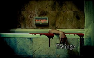 Very Special Thanks to Stephen Dixon by Writer VeeVee (TWINGE, 2013)