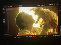 Ryan Culver and Taco the Dog on set