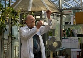 Petr Pelzer in Lost Gate (2012)