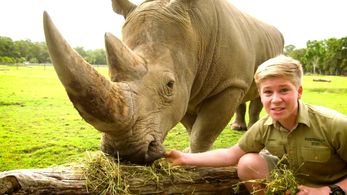 Robert Clarence Irwin